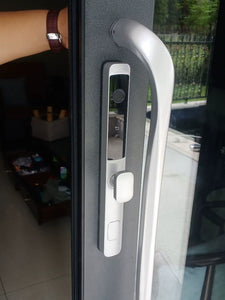 Sliding Gate Fingerprint Lock Broken Bridge Aluminum Screen Door Integrated Sliding Door Smart Lock Aluminium Alloy Door Password Lock Pass Lock