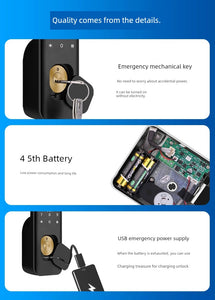 Old-Fashioned Iron Door Lock Smart Bull Head Lock Fingerprint Password Lock Courtyard Door Wooden Door Outdoor Waterproof Double-Sided Electronic Lock