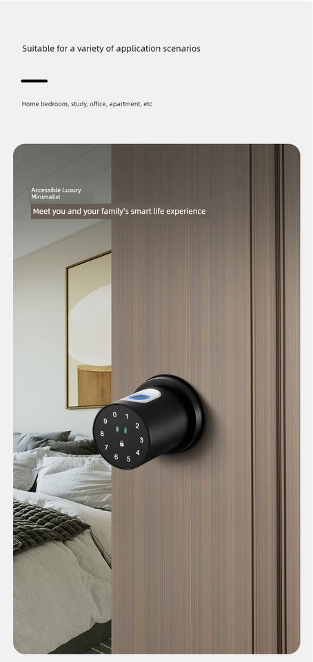 Indoor Fingerprint Lock Bedroom Office Password Lock Room Wooden Door Smart Lock Replaceable For Home Spherical Electronic Lock