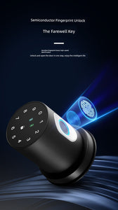 Indoor Fingerprint Lock Bedroom Office Password Lock Room Wooden Door Smart Lock Replaceable For Home Spherical Electronic Lock